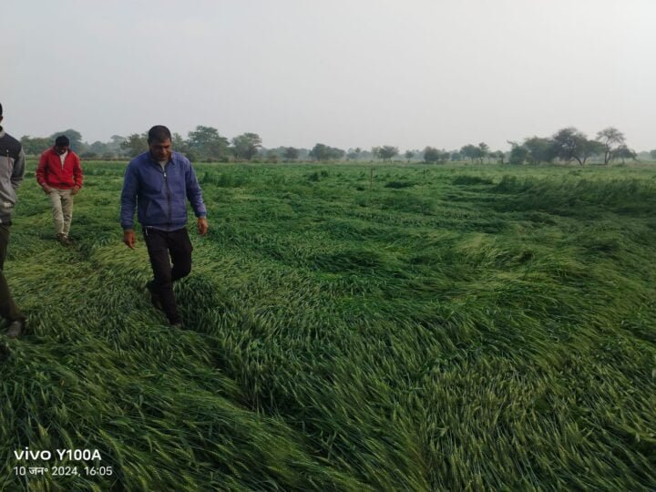 WhatsApp Image 2024 01 10 at 4.06.11 PM e1704956858614