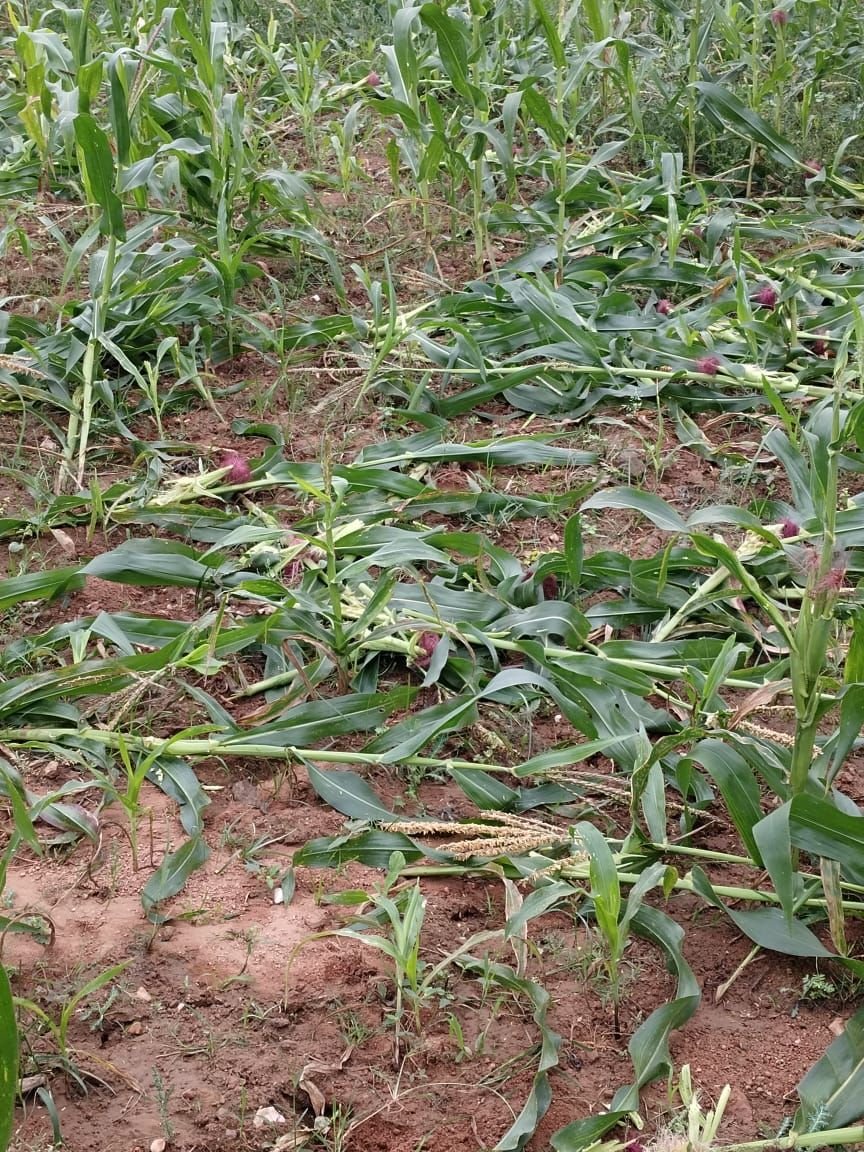 img 20240104 wa00085734557992657873908