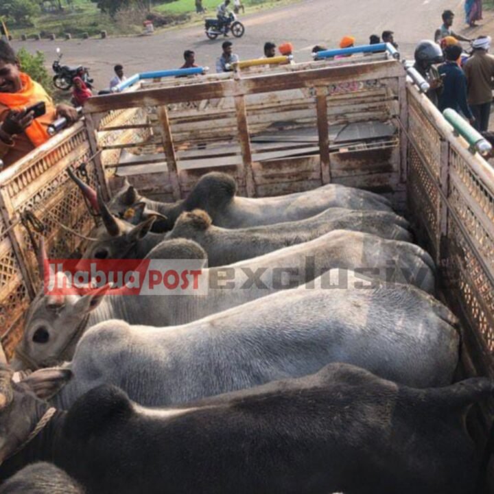 inshot 20240110 1650127502153926925516307994 e1704885901375