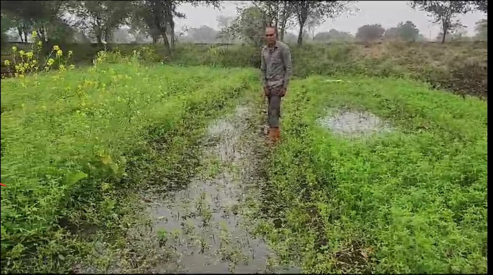 screenshot 20240103 180946 whatsapp2700321999901594091