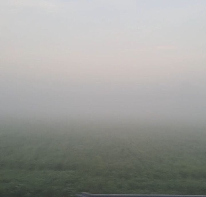 screenshot 20240121 093326 gallery169118458716390064 e1705809934367