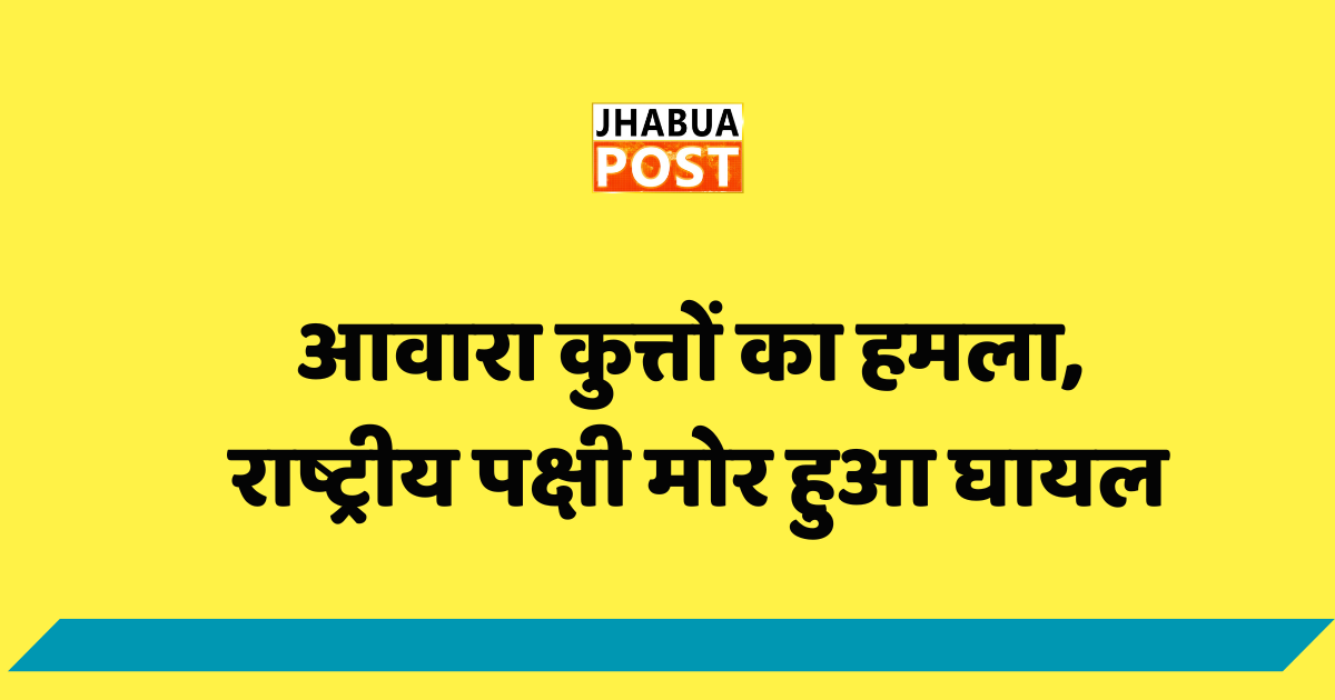 आवारा कुत्तों का हमला, राष्ट्रीय पक्षी मोर हुआ घायल 1 आवारा कुत्तों का हमला, राष्ट्रीय पक्षी मोर हुआ घायल