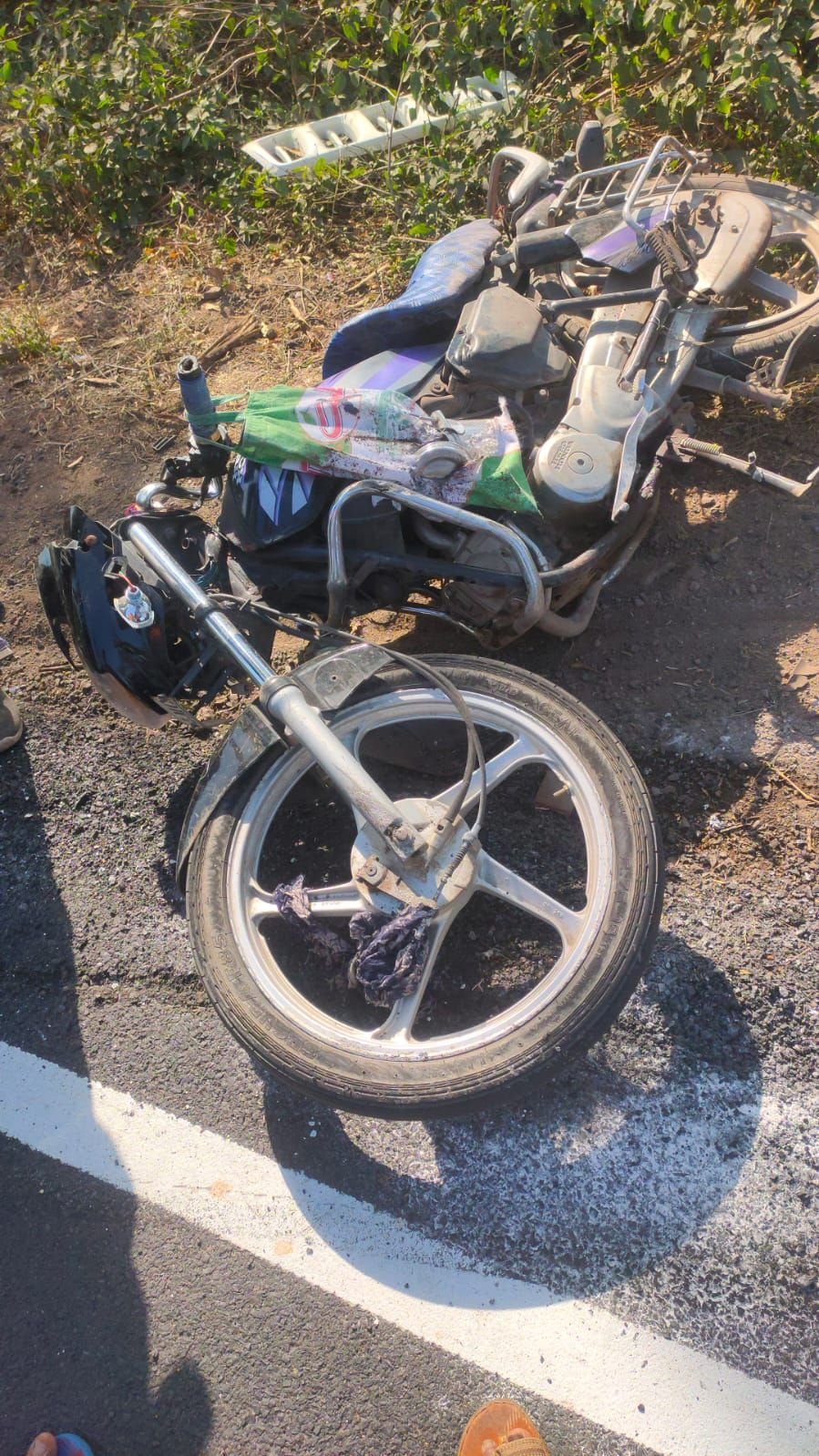 img 20240210 wa00302674784403005895721