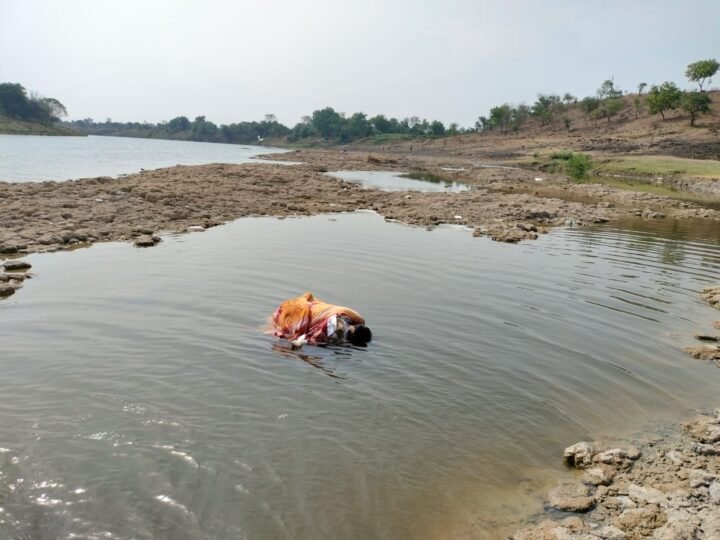 img 20240525 wa000926237946306944326 e1716622179142