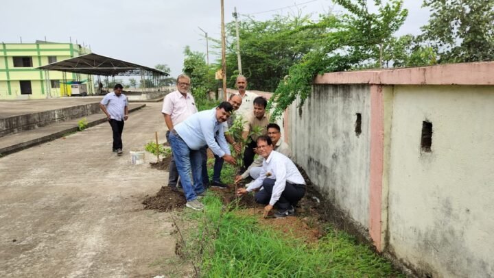 सहकारिता दिवस पर वृक्षारोपण किया गया 1 अंतरराष्ट्रीय सहकारिता दिवस पर वृक्षारोपण किया गया