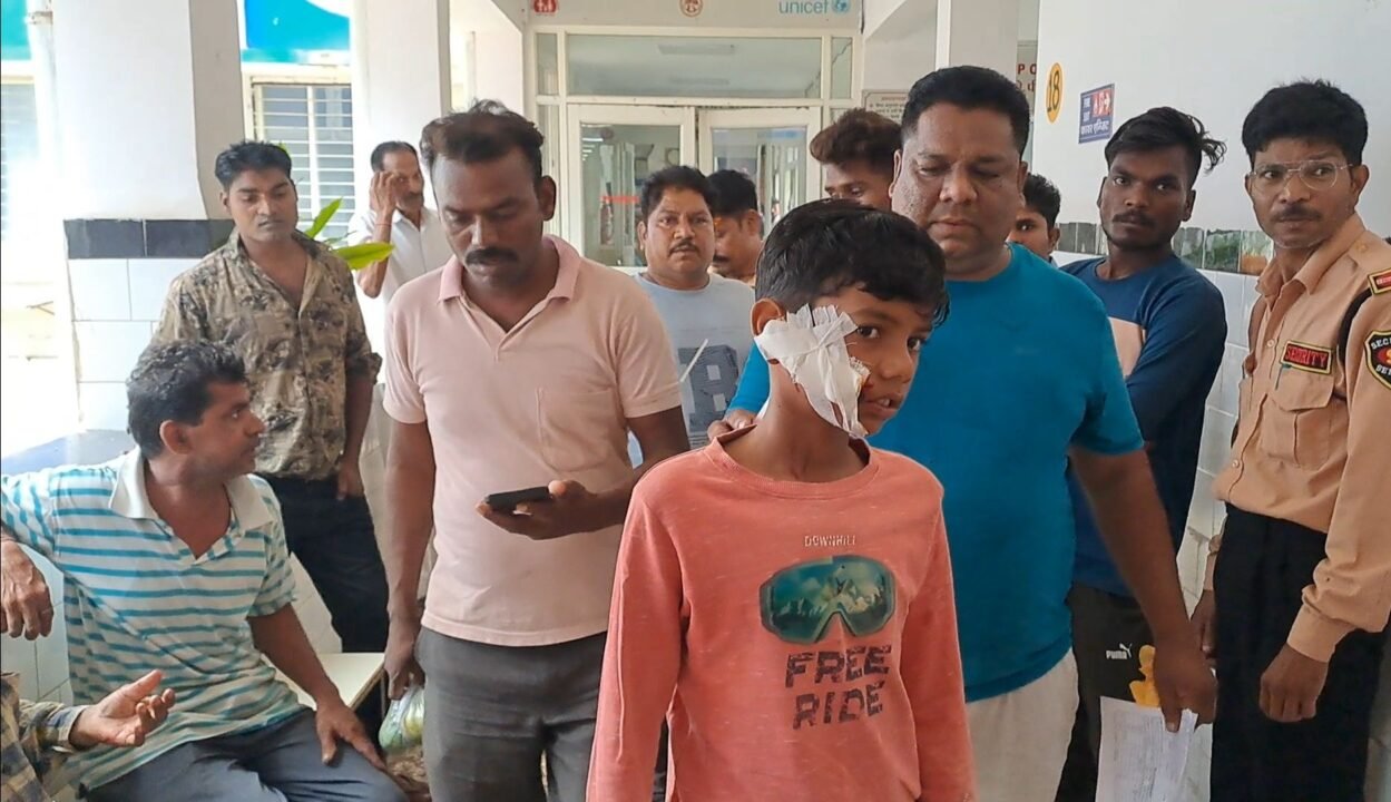 आवारा कुत्ते का आतंक, मासूमों समेत 10 से ज्यादा पर हमला ।