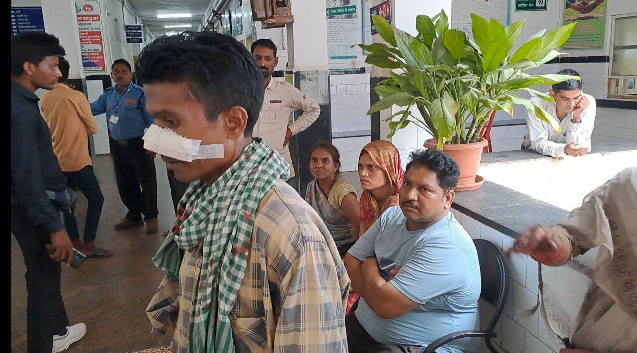 screenshot 20240723 120053 gallery4856249266269874730