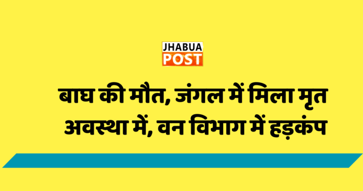 COMING SOON 52 e1728134815810