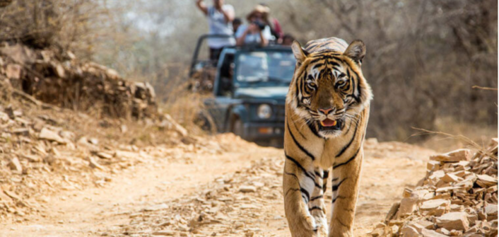 Screenshot 2024 10 01 083527 e1727867071682