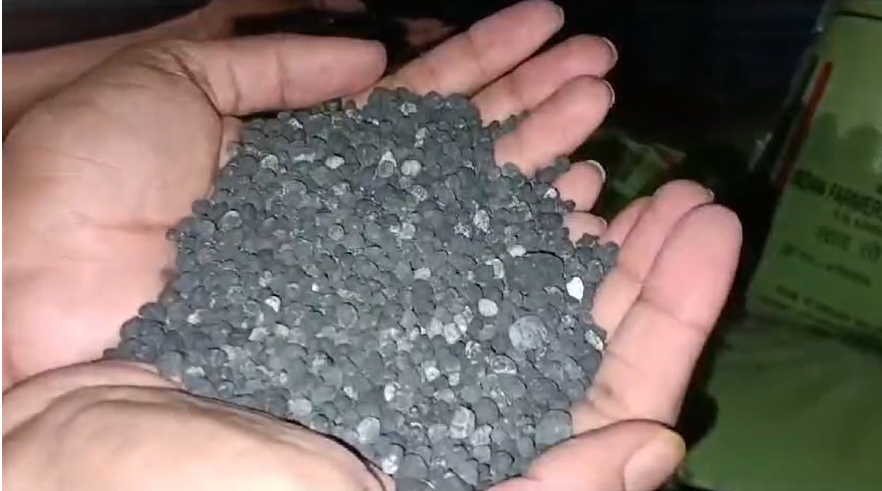 खंडवा में नकली खाद पकड़ाई, थैली में निकले कंकड़ पत्थर 11 खंडवा नकली खाद पकड़ाई ।