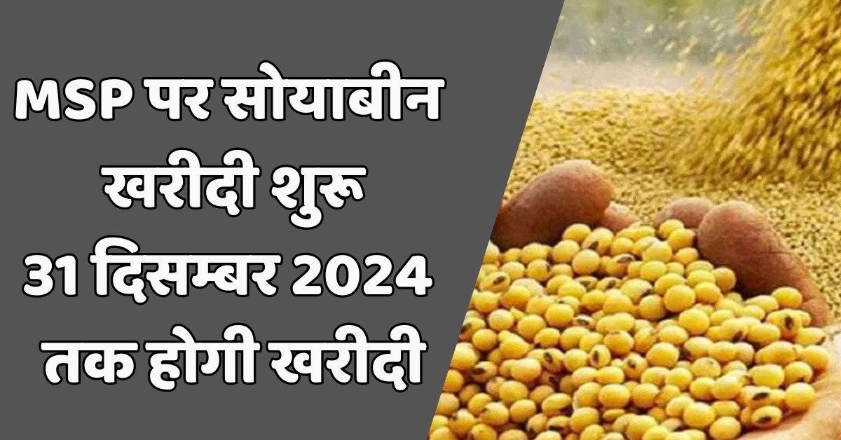 MSP पर सोयाबीन खरीदी: 25 अक्टूबर से 31 दिसम्बर 2024 तक 3 MSP पर सोयाबीन खरीदी
