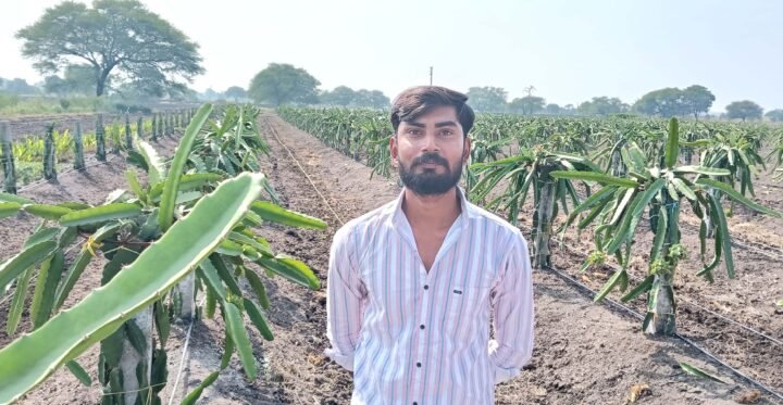 ड्रैगन फ्रूट की खेती