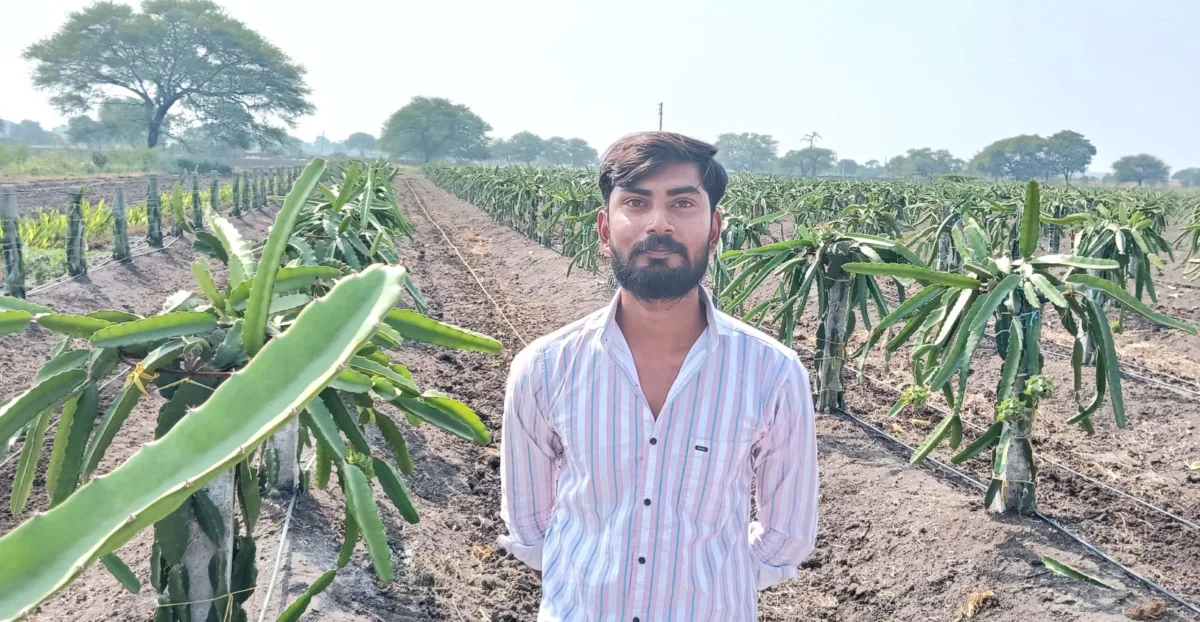 ड्रैगन फ्रूट की खेती : रतलाम के युवा किसान को मिल रहा मुनाफा 1 ड्रैगन फ्रूट की खेती