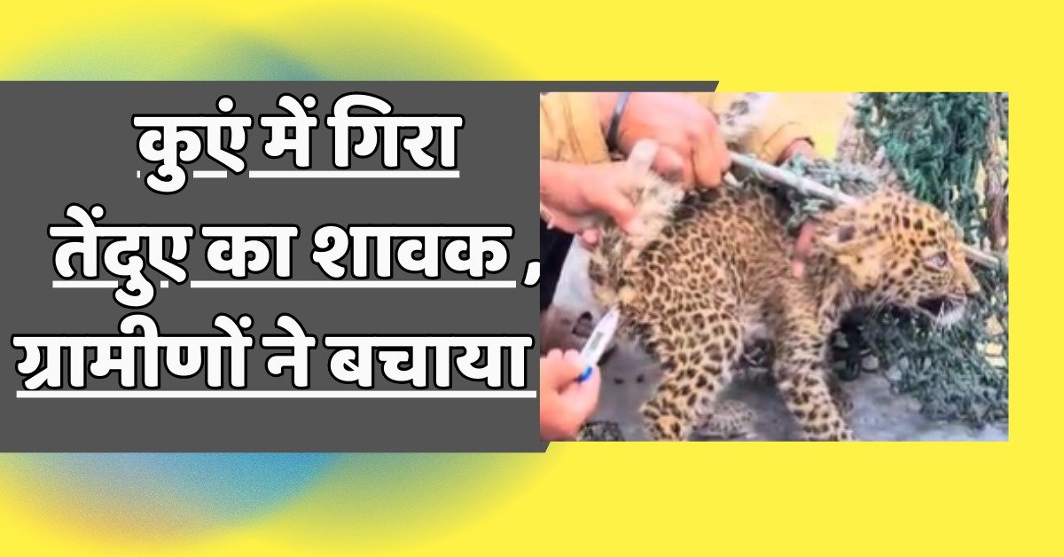 रतलाम कुंए में गिरा तेंदुए का शावक।