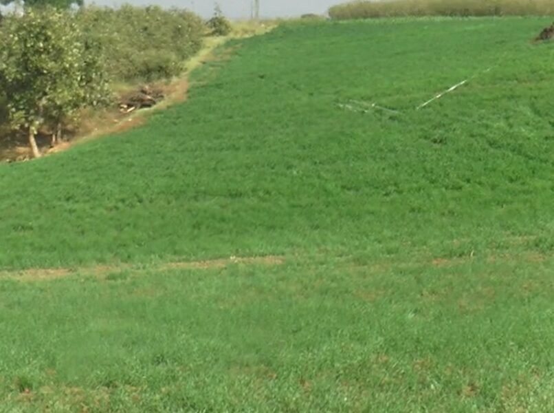 पीएम फसल बीमा की आखरी तारीख बढ़ी ।