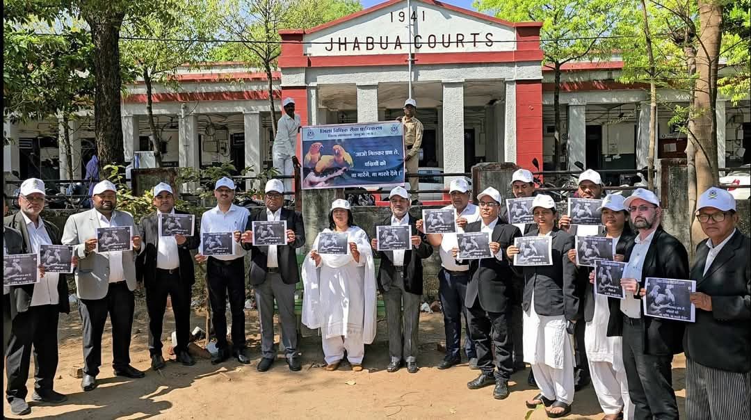 विश्व गौरेया दिवस पर झाबुआ जिला न्यायालय में पक्षियों के लिए लगाए गए सकोरे 2 fb img 17424691534041931759922150254228