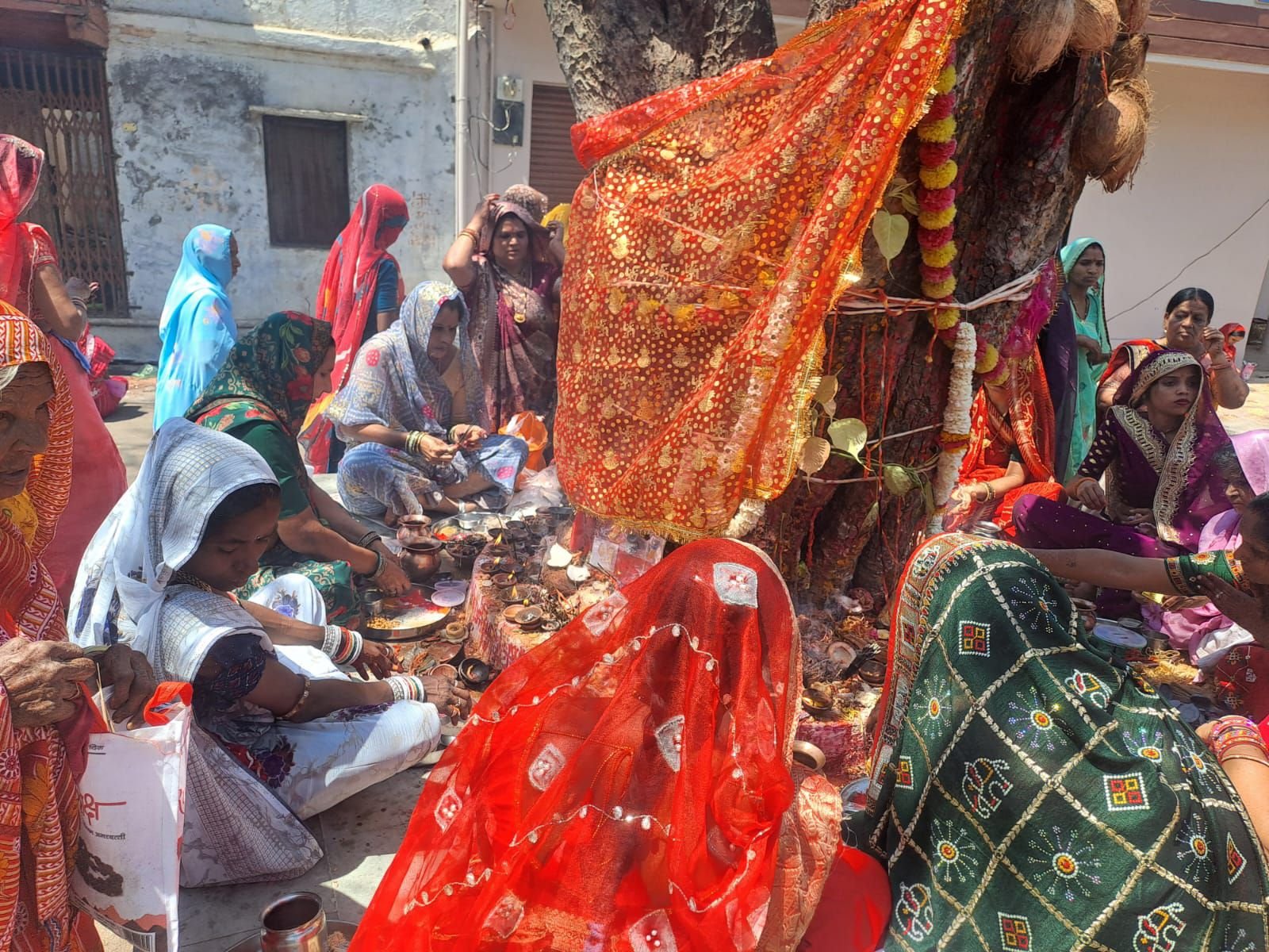 img 20250324 wa00257337772418034212182