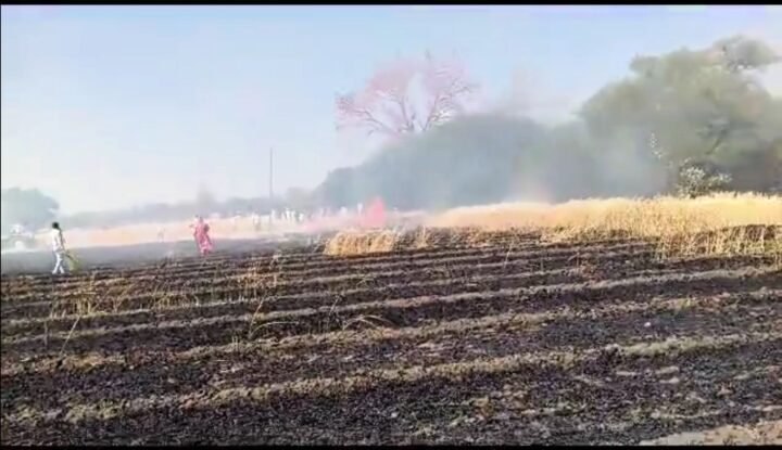 screenshot 20250313 172517 gallery4218134822055572335