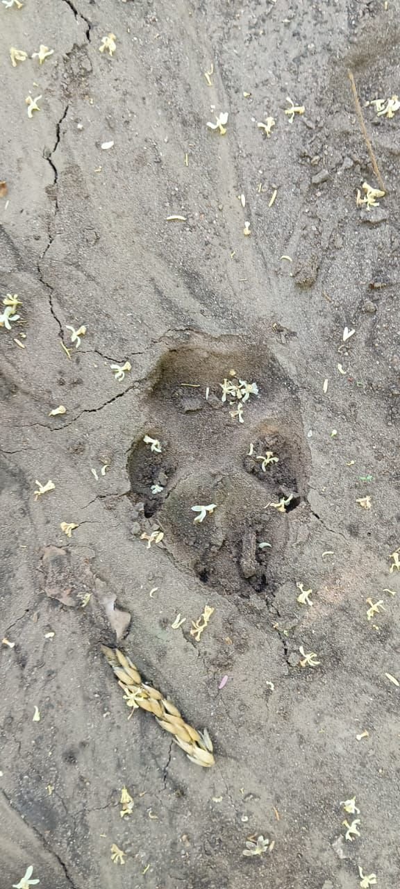 img 20250405 wa00306098407565416772915