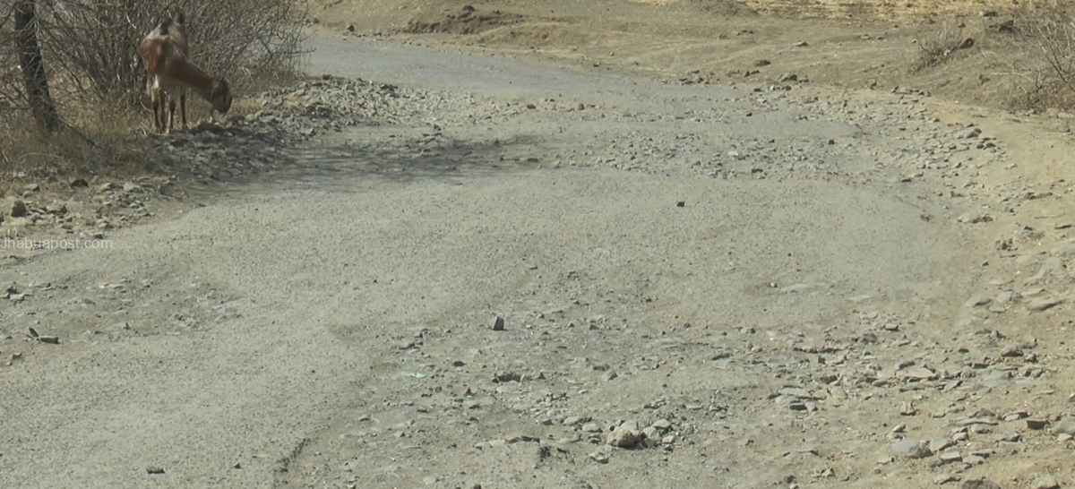 माही डेम मार्ग बदहाल, ग्रामीणों और तीर्थयात्रियों को भारी परेशानी