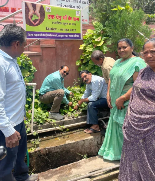 जिला सहकारी बैंक झाबुआ में "एक पेड़ मां के नाम" अभियान के तहत वृक्षारोपण 1 जिला सहकारी बैंक झाबुआ में "एक पेड़ मां के नाम" अभियान के तहत वृक्षारोपण