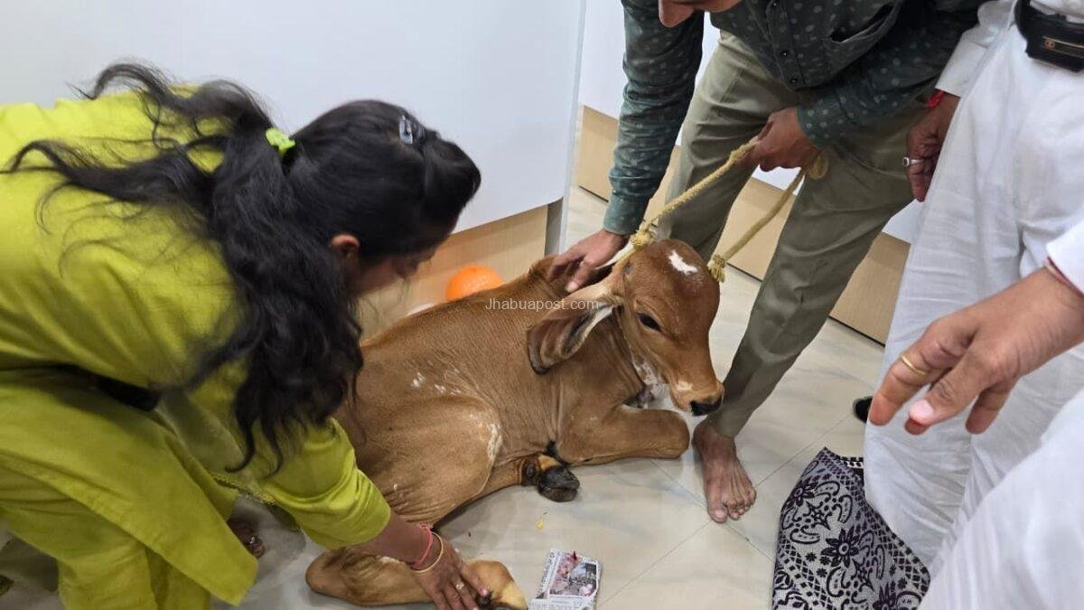 img 20251016 wa00493932520793424414372