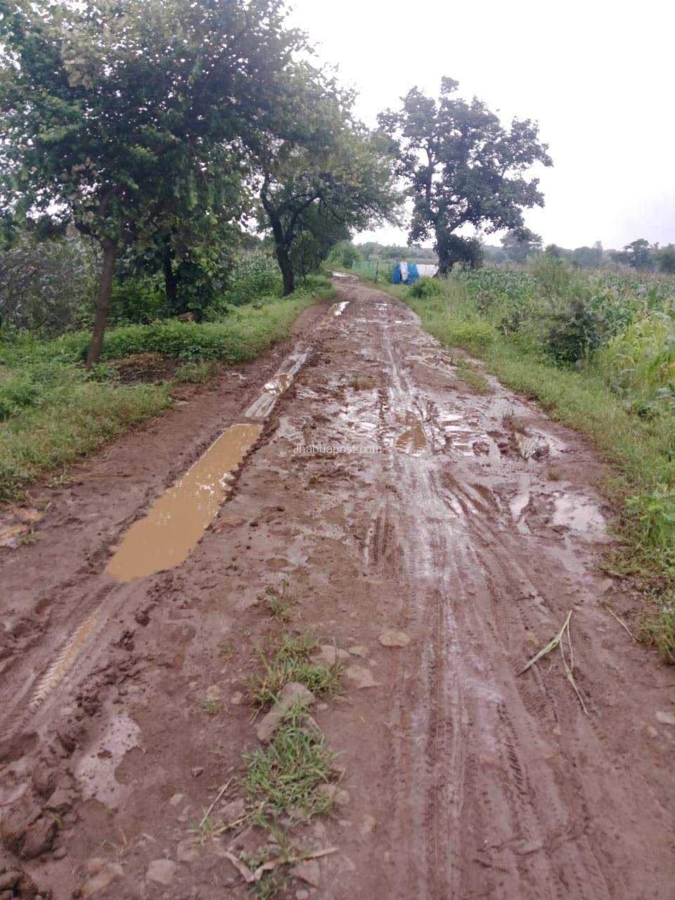 पंचायत के लोग कीचड़ भरे कच्चे रास्ते से परेशान, सड़क की मांग तेज 7 img 20251101 wa00021914838021107534412