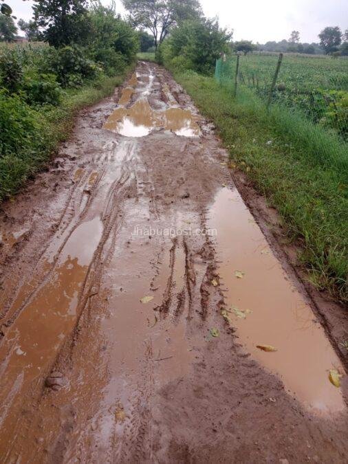 पंचायत के लोग कीचड़ भरे कच्चे रास्ते से परेशान, सड़क की मांग तेज 2 img 20251101 wa00032331465516355960744