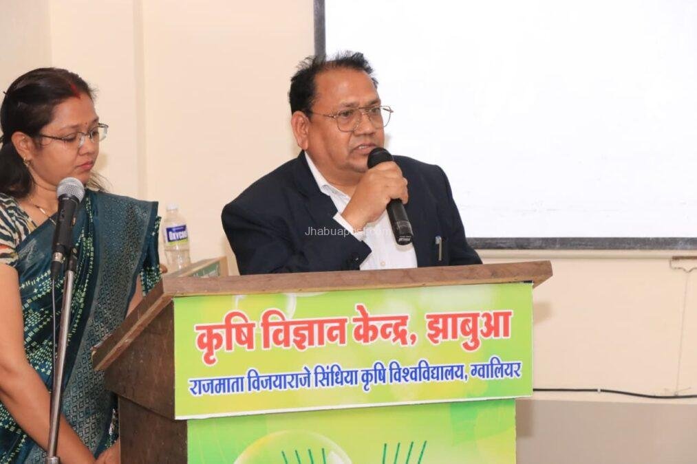 img 20260111 wa00678411170486990393704