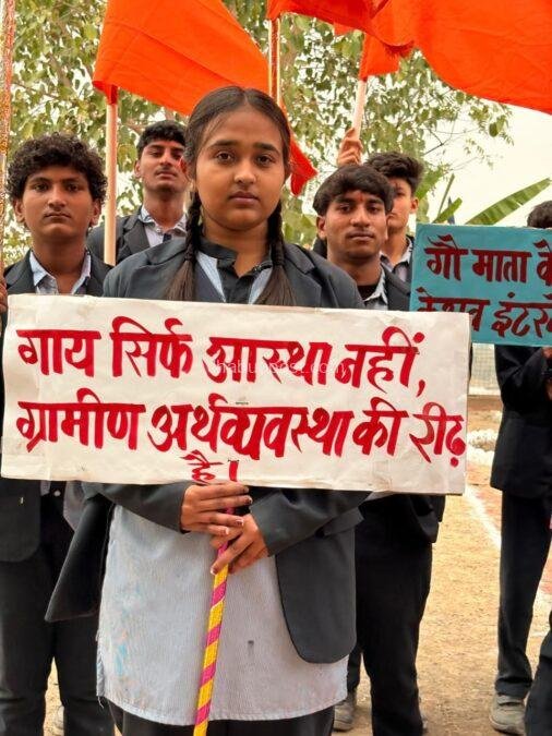 img 20260128 wa00469074498699027961842