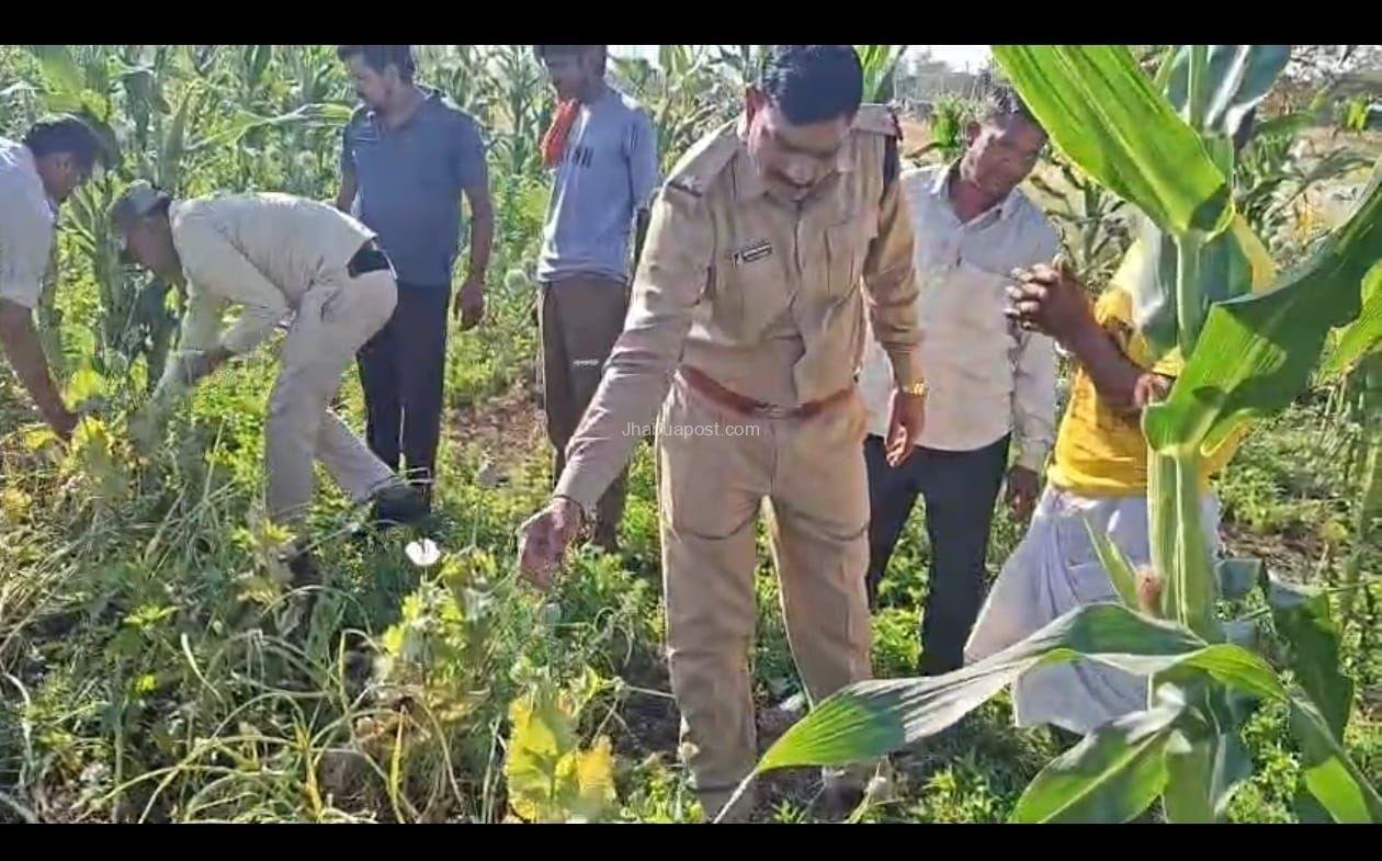 img 20260313 wa00521013105329076809455