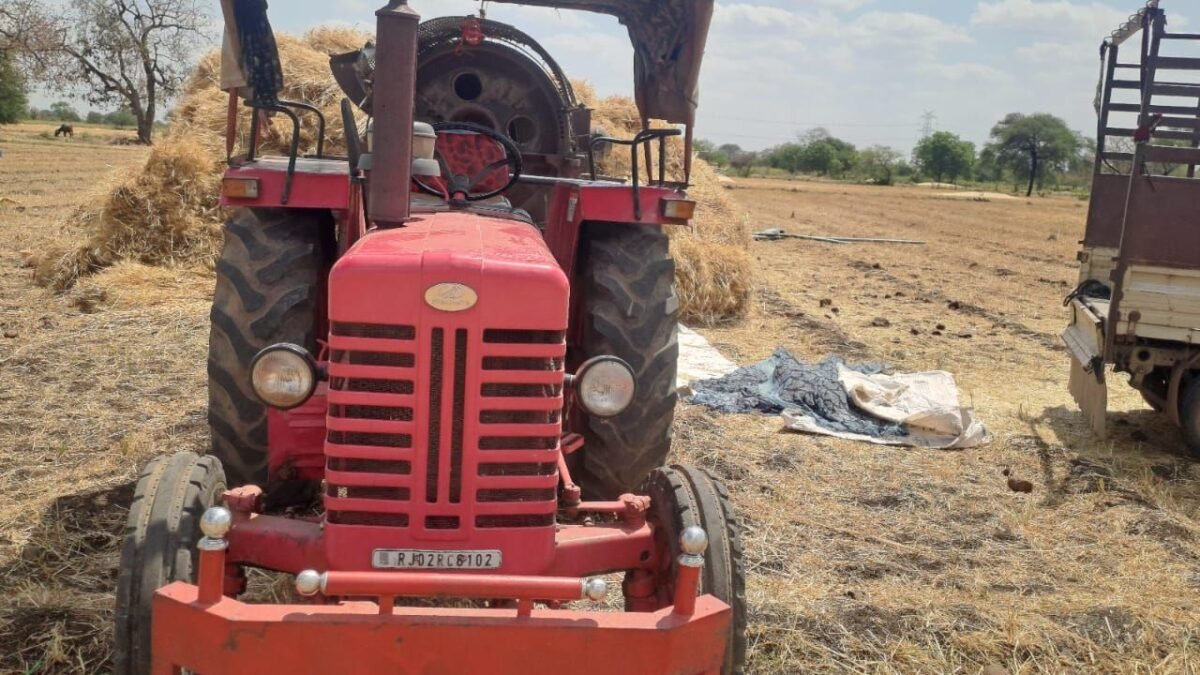 झाबुआ: थ्रेशर मशीन की चपेट में आने से युवक की दर्दनाक मौत, 1 img 20260321 wa00229149830123045374523