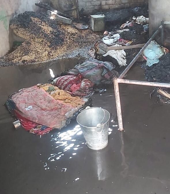 img 20260324 wa00036275943667617294195