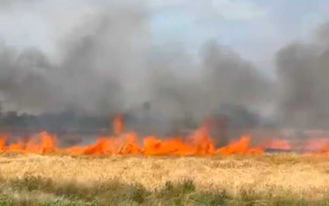 screenshot 20260324 073718 gallery4463582796308754484