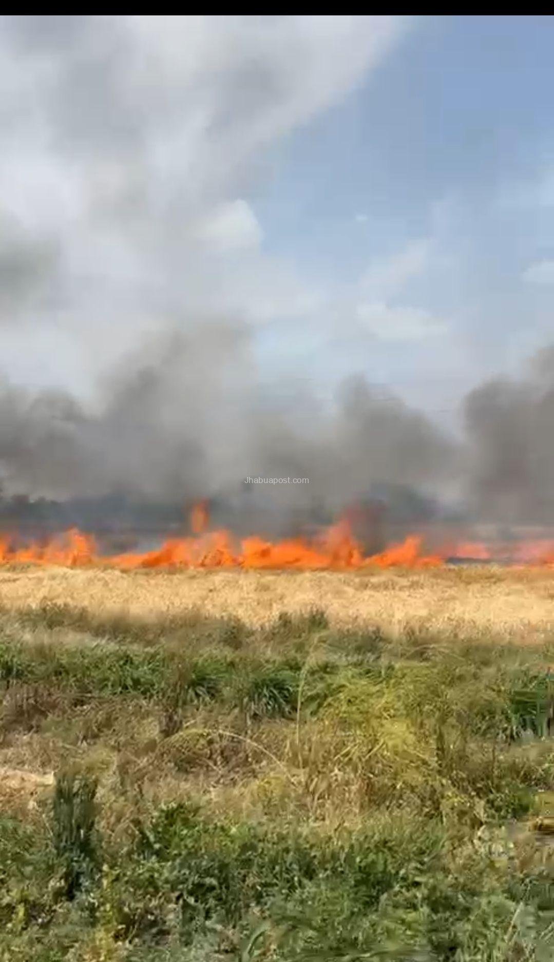 screenshot 20260324 073718 gallery4463582796308754484