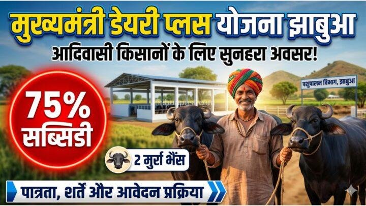 Mukhymantri Dairy Plus : ST को 75% की भारी सब्सिडी पर मिलेंगी उच्च नस्ल की दो मुर्रा भैंसें 9 Mukhymantri Dairy Plus : ST को 75% की भारी सब्सिडी पर मिलेंगी उच्च नस्ल की दो मुर्रा भैंसें