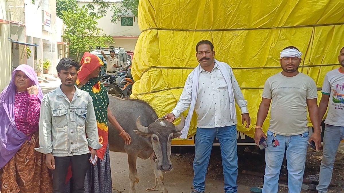झाबुआ: 2023 के चुनाव में NOTA को पछाड़कर तीसरे नंबर पर थे ये 'नेताजी', अब भैंस चोरी के आरोप में पकड़े गए 3 झाबुआ कोतवाली पर अपनी भैंस के साथ मैथु और अन्य शिकायत कर्ता