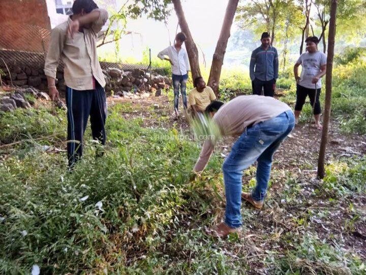 रायपुरिया में मिसाल बने युवा: जहाँ कभी लगता था कचरे का ढेर, आज वहाँ बेखौफ नाचते हैं मोर 48 रायपुरिया में मिसाल बने युवा: जहाँ कभी लगता था कचरे का ढेर, आज वहाँ बेखौफ नाचते हैं मोर