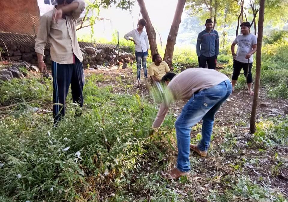 रायपुरिया में मिसाल बने युवा: जहाँ कभी लगता था कचरे का ढेर, आज वहाँ बेखौफ नाचते हैं मोर